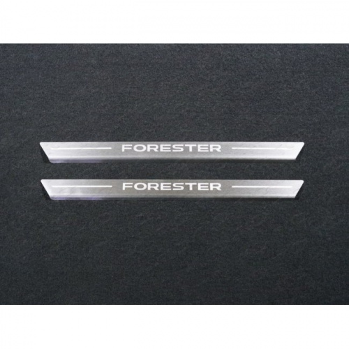    (   Forester) 2  3