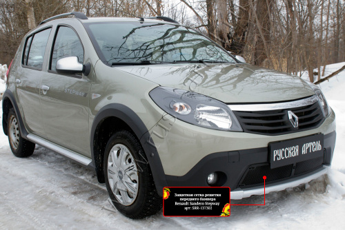     Renault Sandero Stepway 2009-2013  4