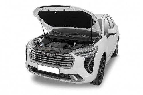   RIVAL (2 .) Haval Jolion (2021-)