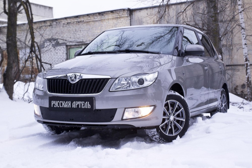      Skoda Fabia II 2010-2013  3